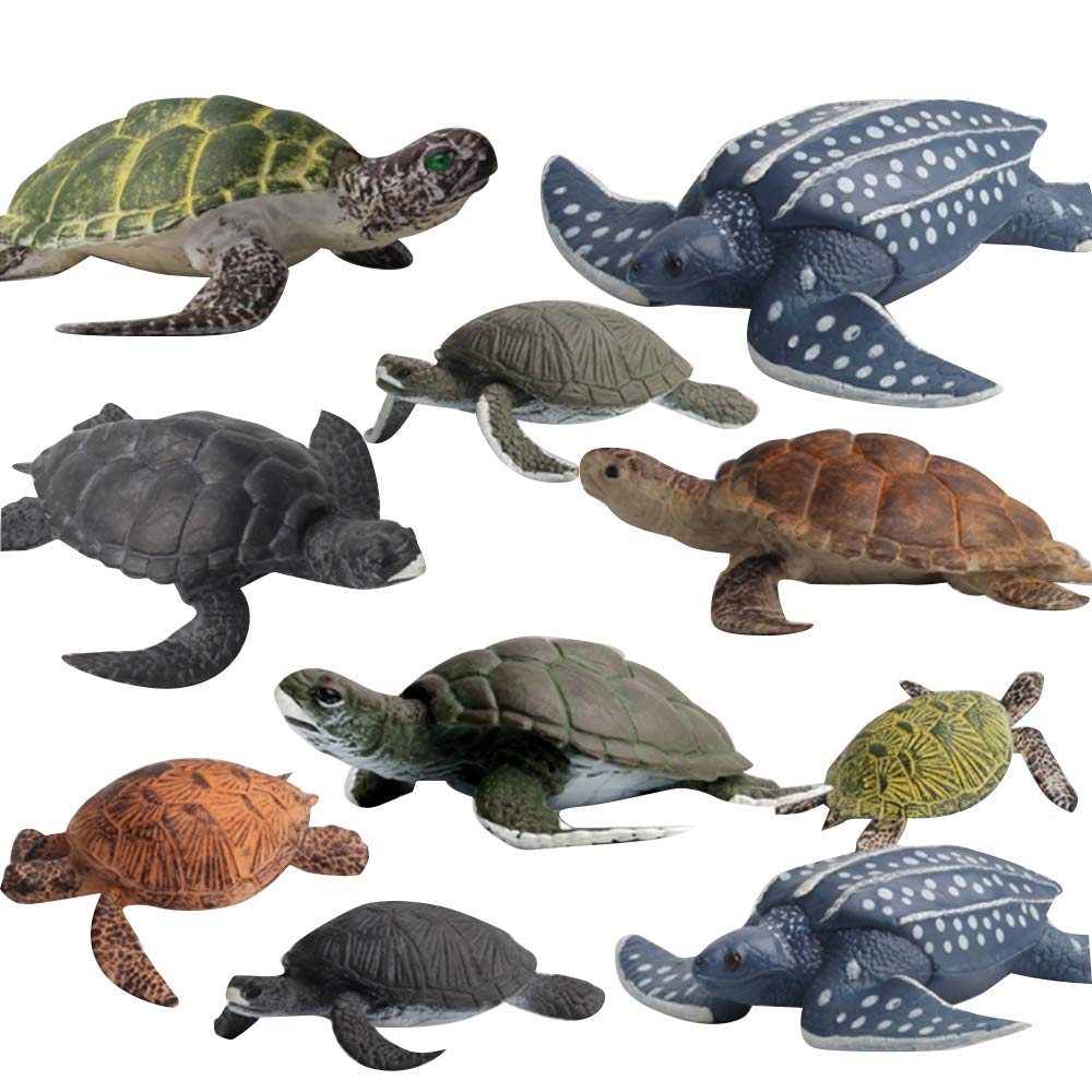 ウミガメの模型 レプリカ 海洋生物模型 Amazon.co.jp: ifundom 5個リアルなウミガメフィギュア 製の海洋